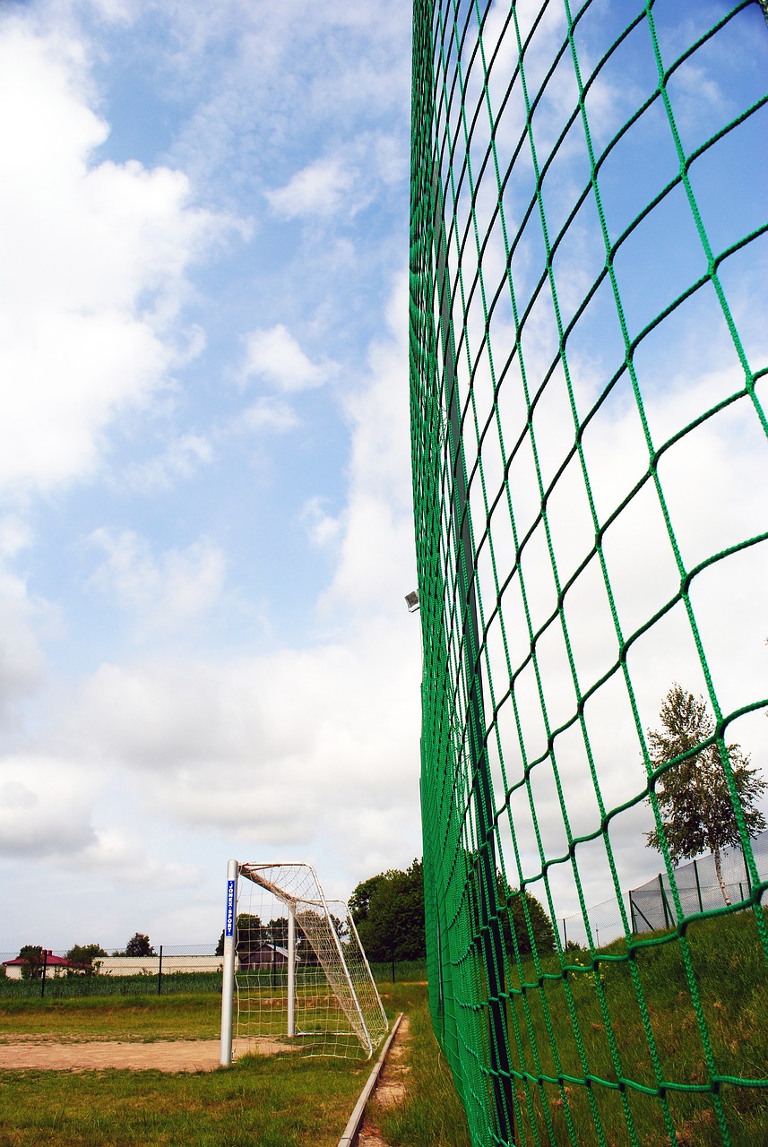 无疑都将成 无疑都将成