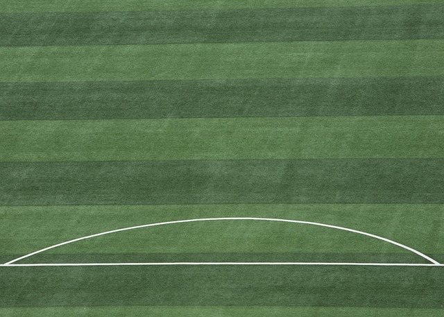 不仅在训练 不仅在训练