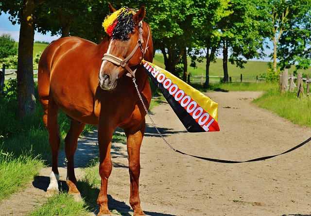 期待他未來 期待他未來