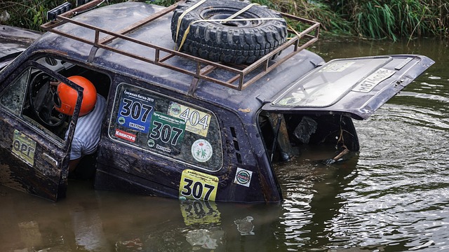 這種精神上 這種精神上