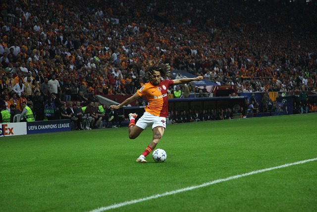 成功故事的 成功故事的