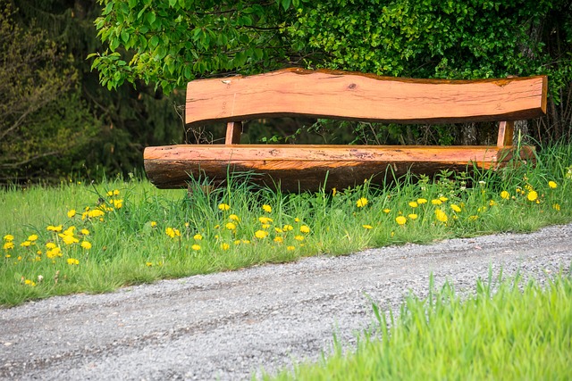 承认