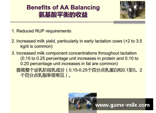 米乐mile官方网站英超球员的饮食与营养需求探究 - 副本